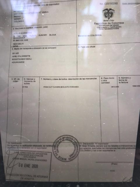 IMG-1581289478444