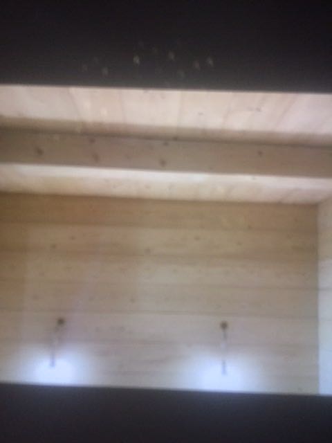 IMG-1582393471453