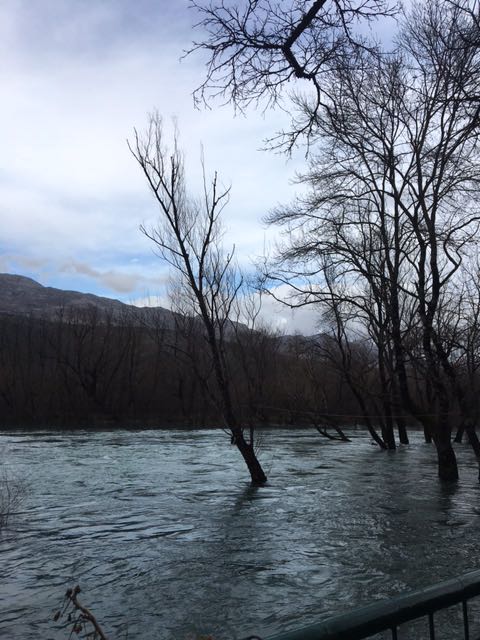 IMG-1583159757498