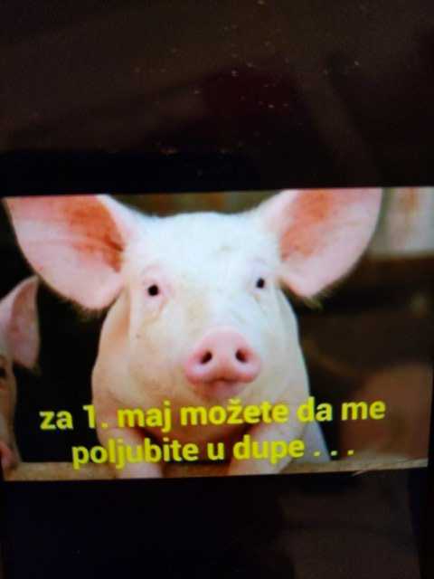 IMG-1586290257818