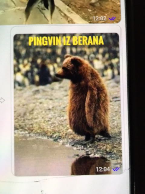 IMG-1587228293867