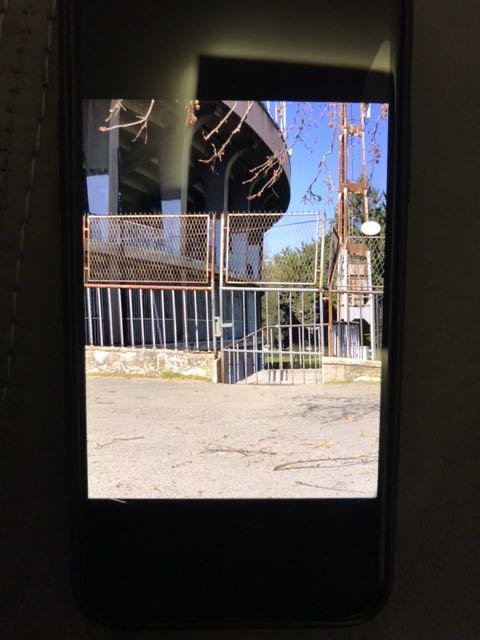 IMG-1587995304833