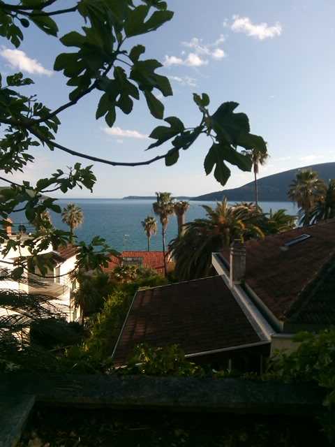 IMG-1588520659253