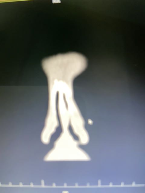 IMG-1589652788514