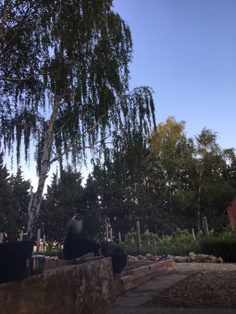IMG-1590169430908