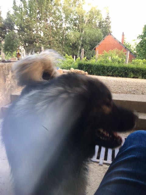 IMG-1590169463158