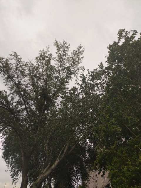 IMG-1591113679836