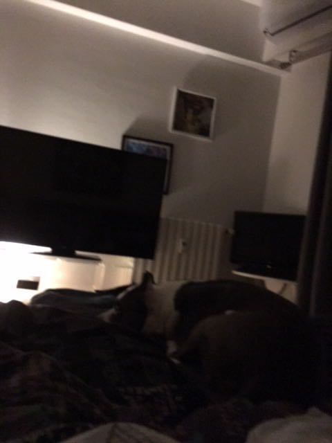 IMG-1591225163761