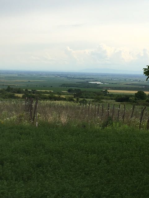 IMG-1591881043075