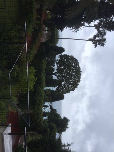IMG-1592048392084