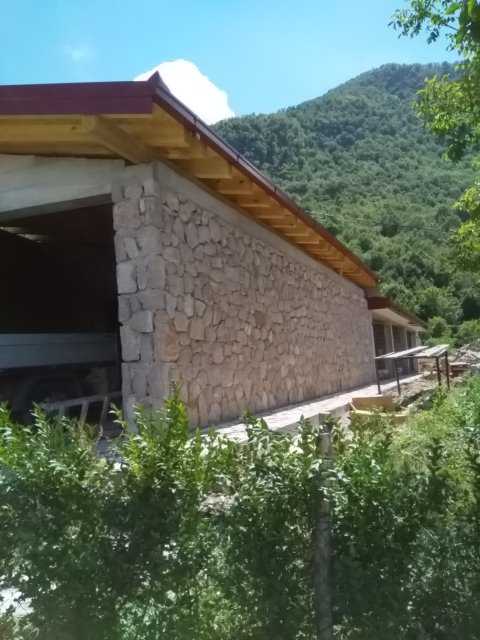 IMG-1592484475387