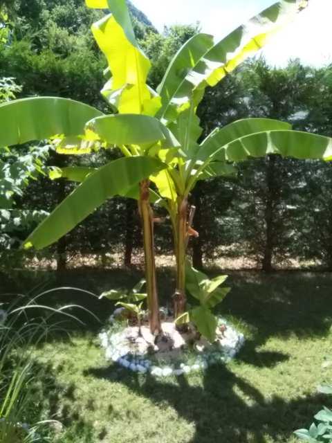 IMG-1592484846163