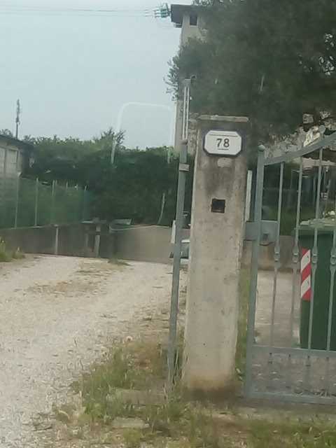 IMG-1593084654192