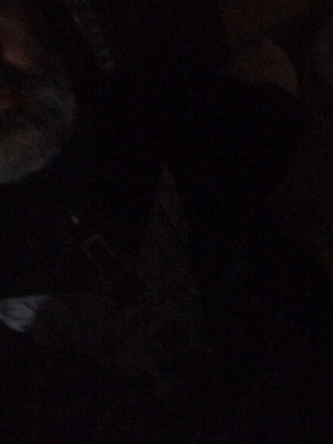 IMG-1593292307421