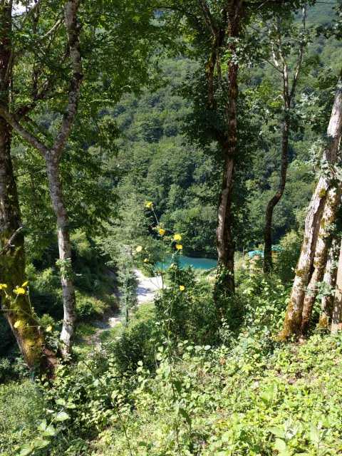 IMG-1593764038345