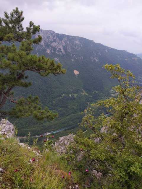 IMG-1593865751856