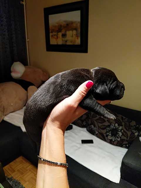 IMG-1593901400862