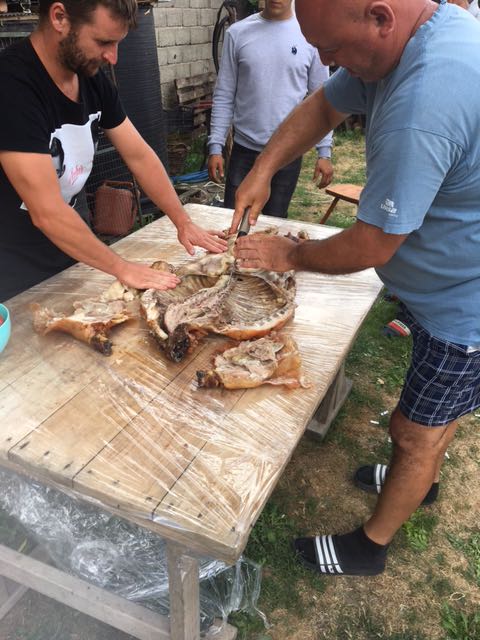 IMG-1594560192049