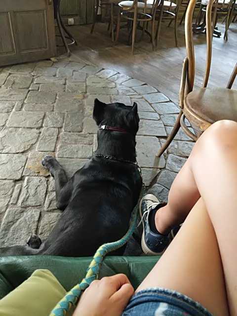 IMG-1594565969598
