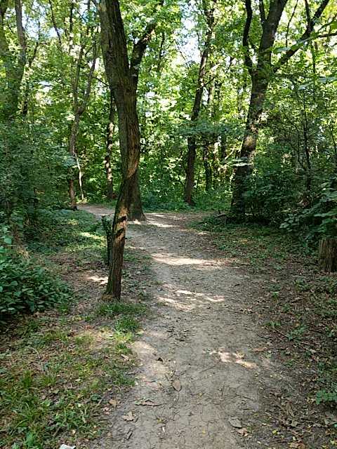 IMG-1594651471025