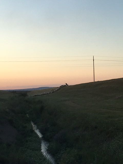 IMG-1594663577373