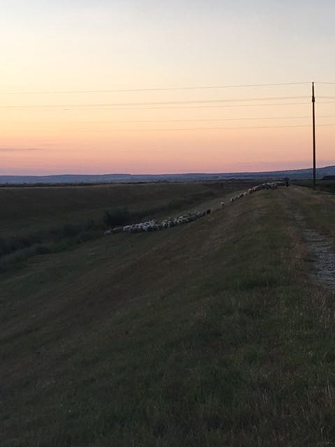 IMG-1594663625149