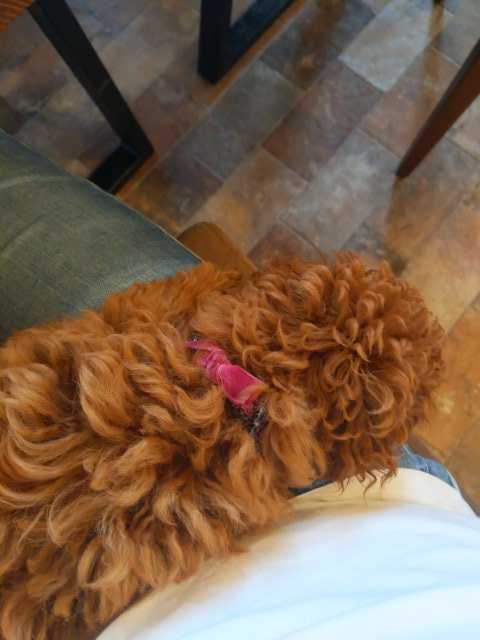 IMG-1594992740683