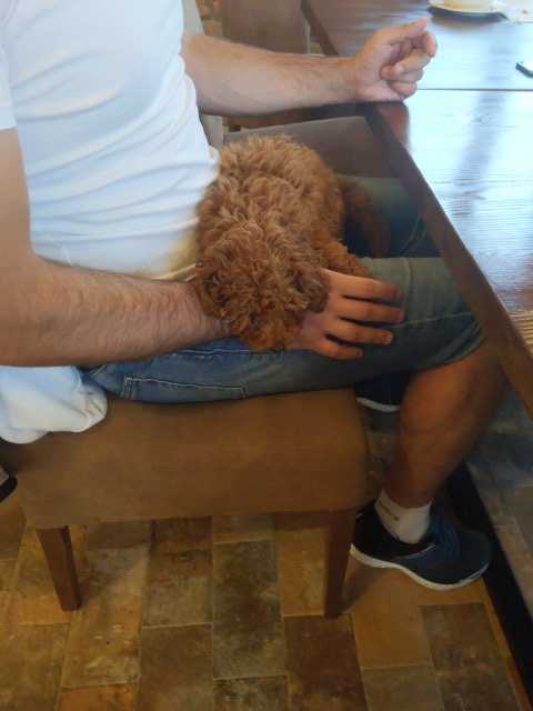 IMG-1594993261957