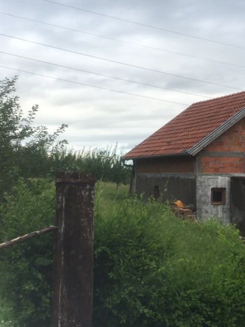 IMG-1595175983187