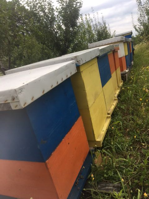 IMG-1595175996441