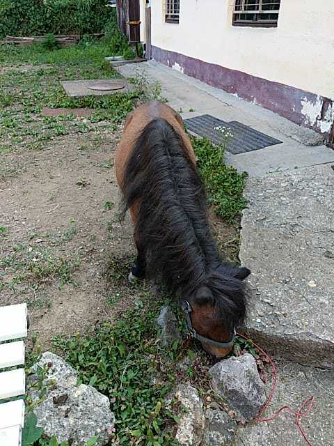 IMG-1595343605806