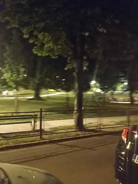 IMG-1595534546807