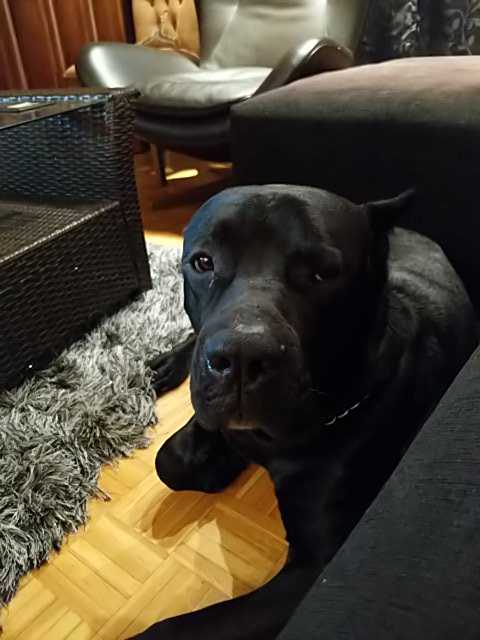 IMG-1595546346723