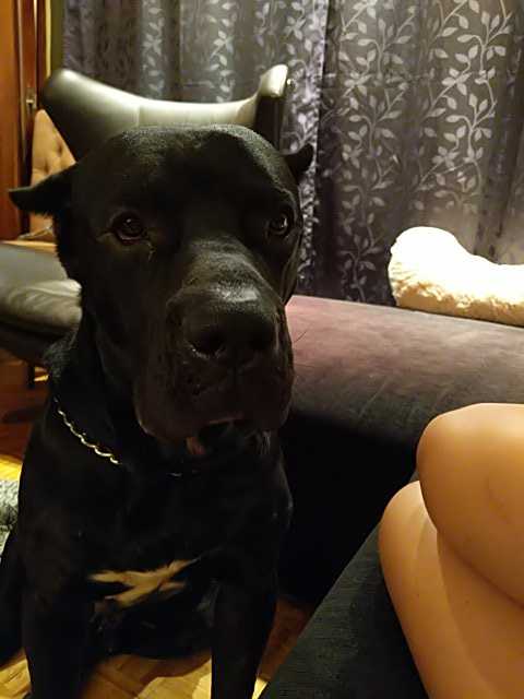 IMG-1595546377014