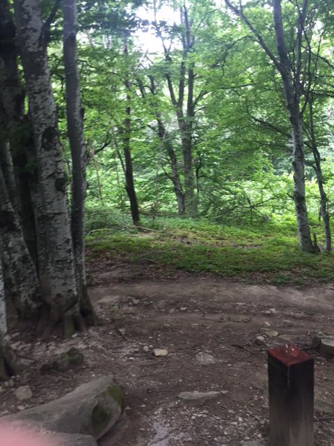 IMG-1595566957322