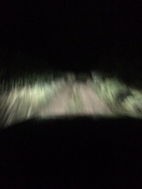 IMG-1595714028582