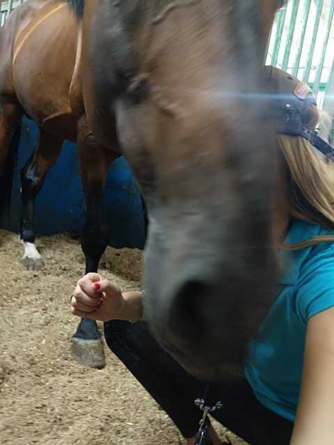 IMG-1595768251778