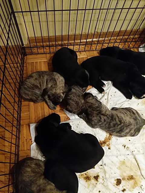 IMG-1595812245832