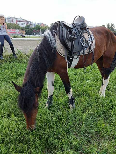 IMG-1595850596186