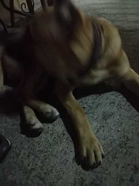 IMG-1595879430539
