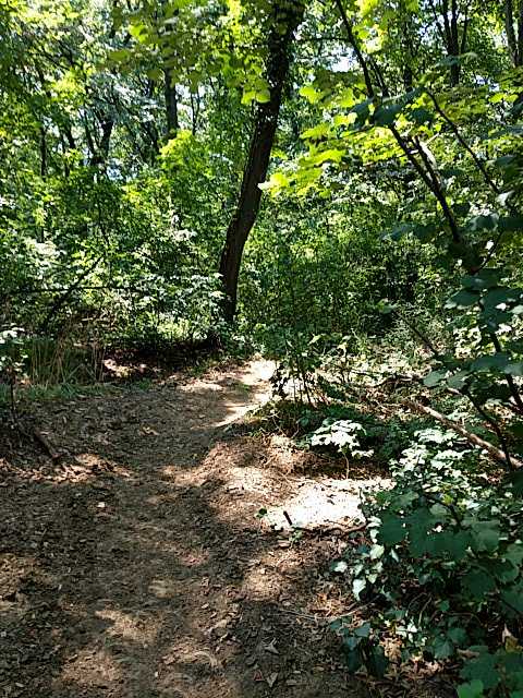 IMG-1596188281947