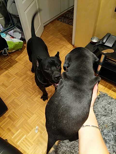 IMG-1596396936543