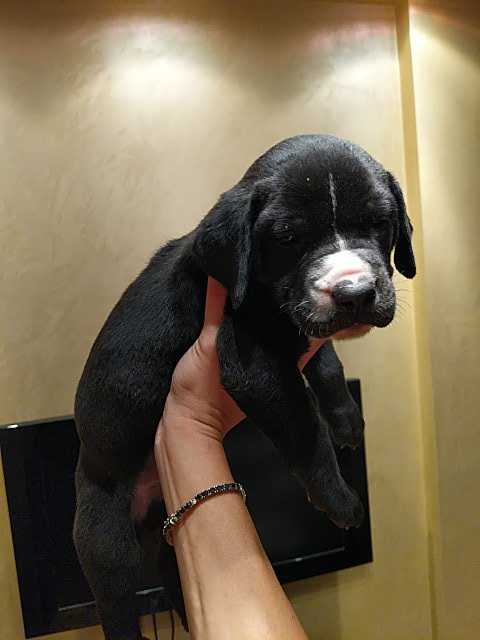 IMG-1596397012860