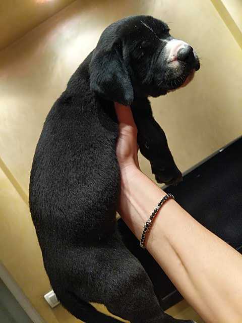 IMG-1596397024116