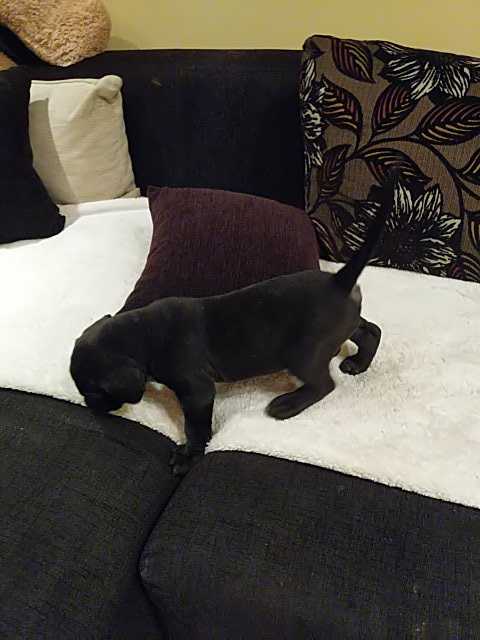IMG-1596397312248