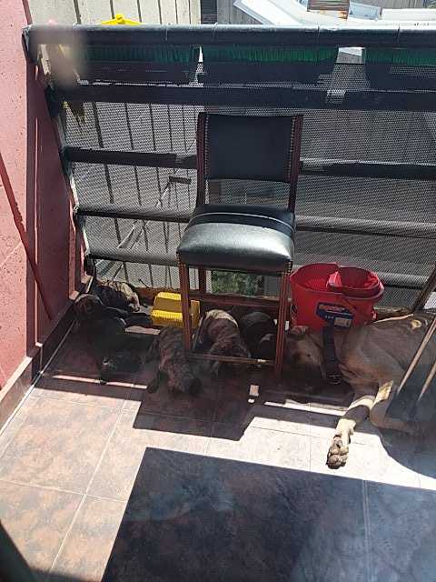 IMG-1596447009757