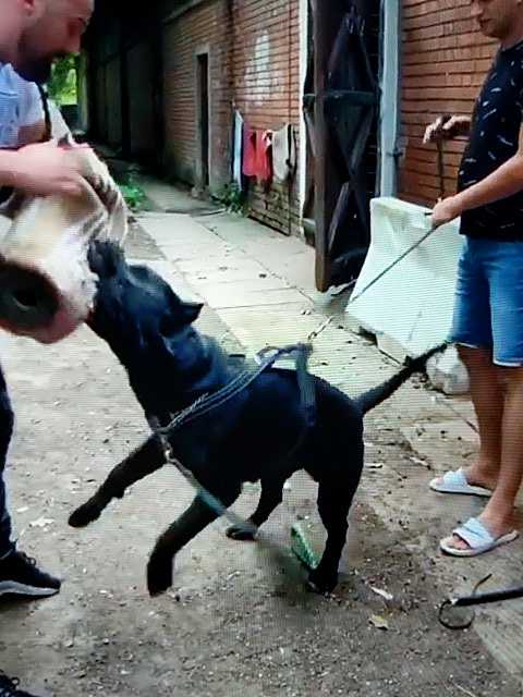 IMG-1596483180746